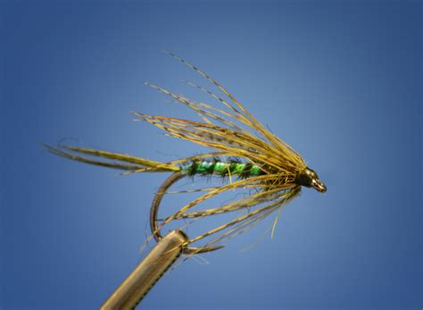 allen fishing|Dry Fly .